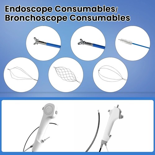 Endoscopio veterinario corpo