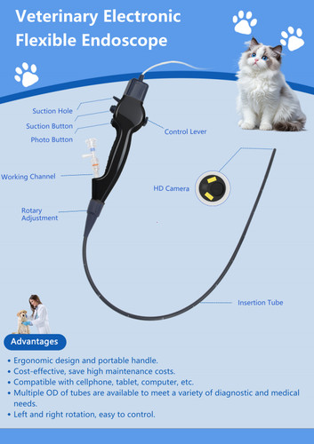 Vet endoscopio flessibile - vet,