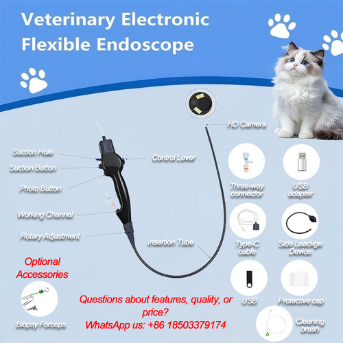 Endoscopio veterinario monouso