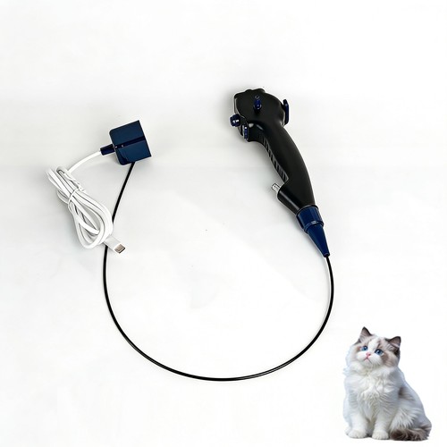 Endoscopio veterinario - endoscopio, hd